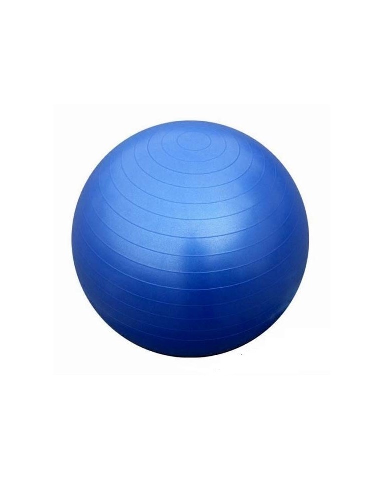 Μπάλα γυμναστικής Fitball 65 cm με τρόμπα Navy