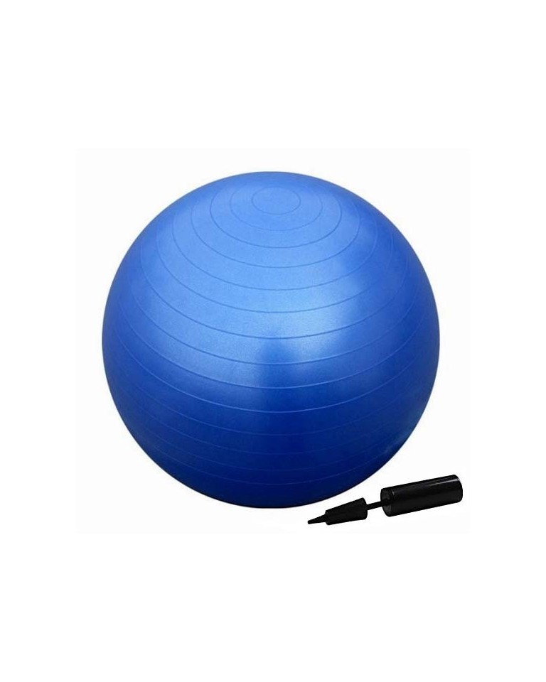 Μπάλα γυμναστικής Fitball 65 cm με τρόμπα Navy