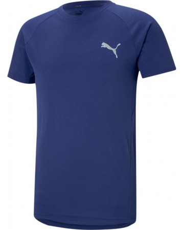 Ανδρικό Αθλητικό T-Shirt Puma Evostripe Tee 585806 12