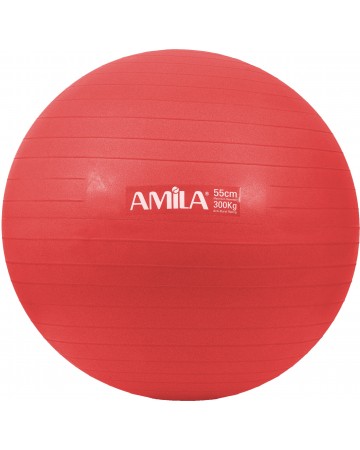 Μπάλα γυμναστικής AMILA (95828) 55cm