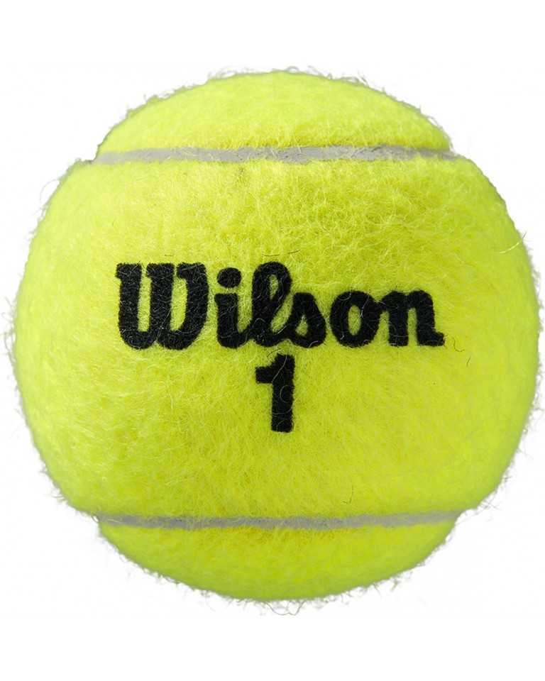 Wilson Roland Garros Clay Μπαλάκια Τένις για Τουρνουά 4τμχ WRT115000