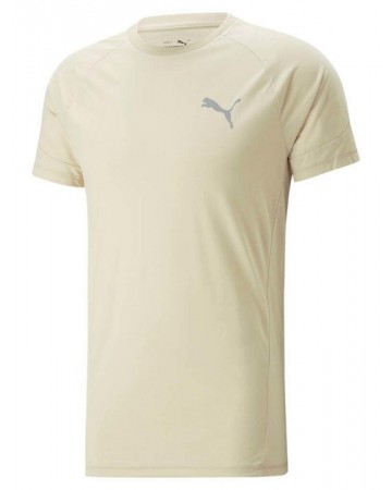 Ανδρικό T-Shirt Puma Evostripe Tee 673311-88