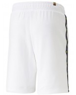 Ανδρικό Σόρτς Puma Ess Tape Love Is Love Shorts TR 9" 673365-02