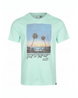 Ανδρικό T-Shirt O'neill Loren T-Shirt 2850123-15043M Beach Gla