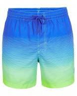 Ανδρικό Μαγιό O'Neill Cali Gradient 15'' Swim Shorts 2800074-25030M Dark Blue