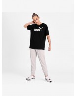 Ανδρικό παντελόνι φόρμας Puma ESS Sweatpants TR cl 586842-54