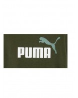 Παιδικό Φούτερ Puma ESS+ 2 Col Big Logo Hoodie FL 586987-31