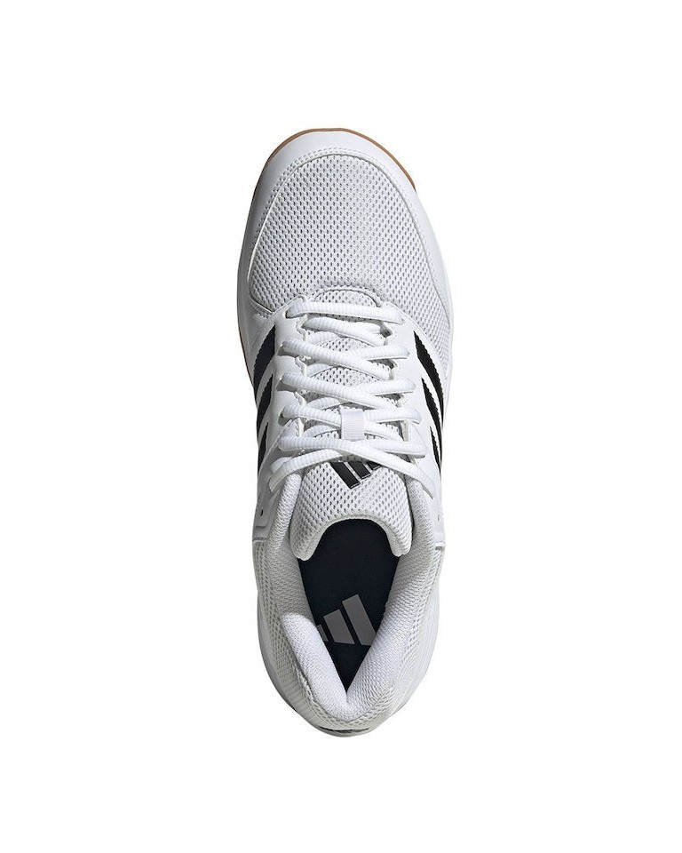 Ανδρικά Παπούτσια Βόλεϊ Adidas Speedcourt M  IE8032